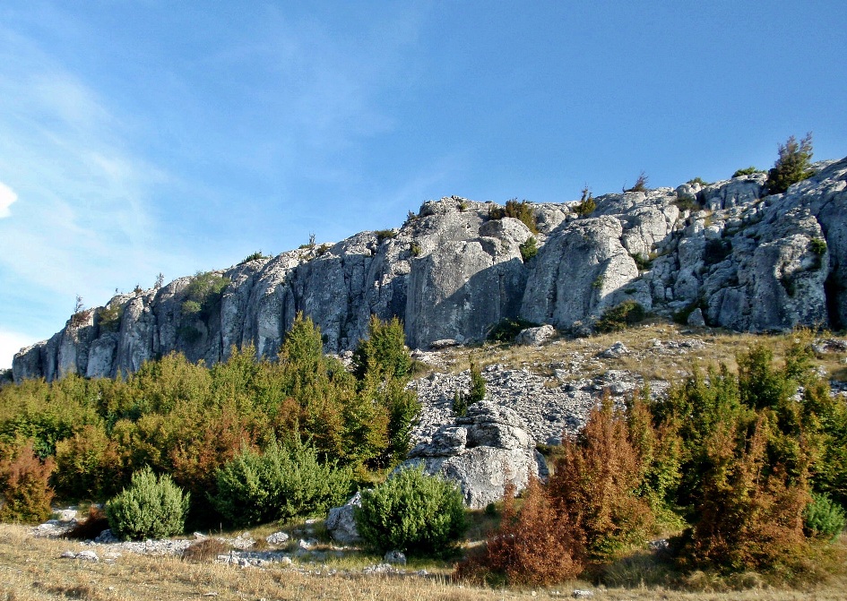 Cvijina gradina